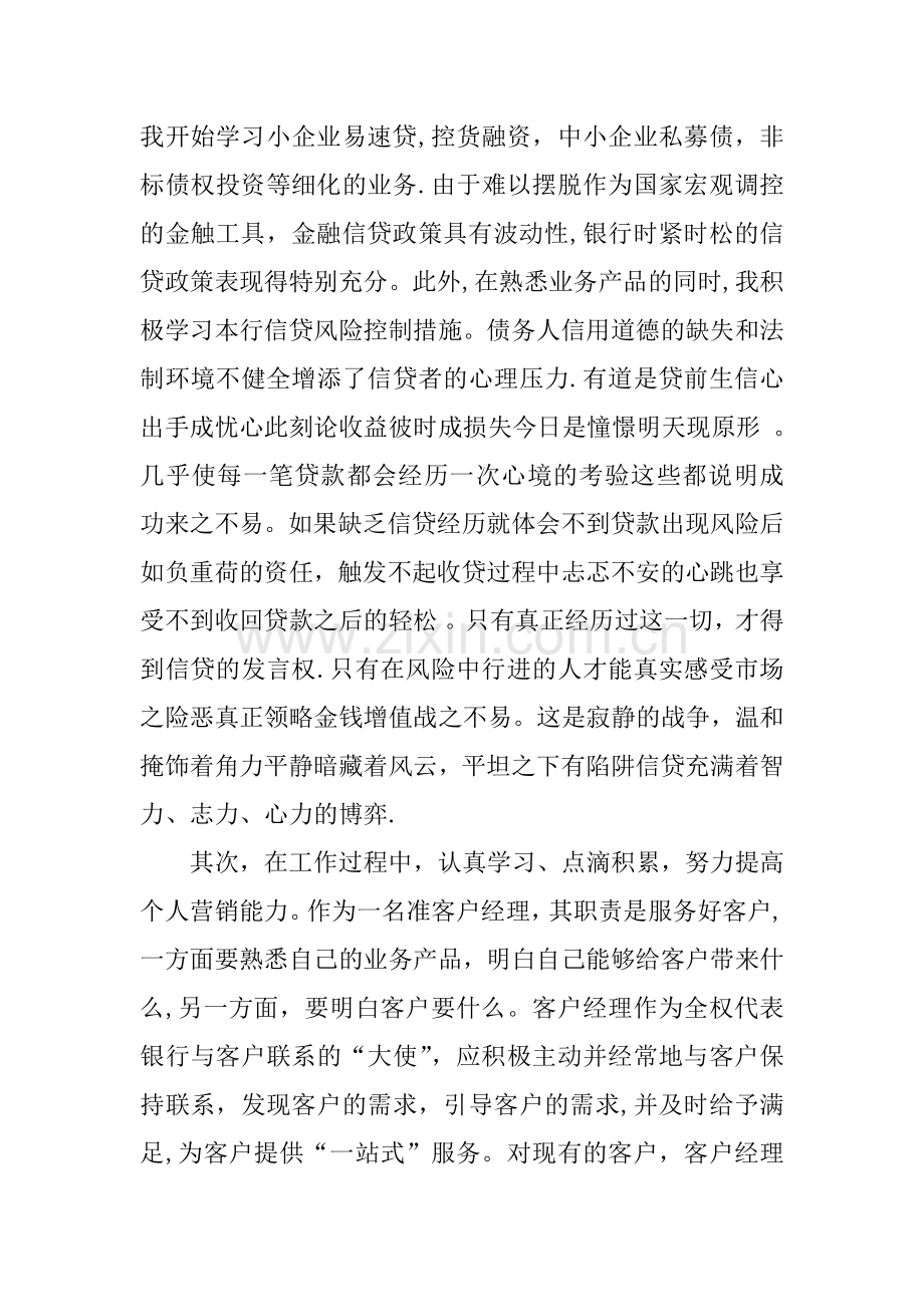 个人客户经理工作总结.docx_第2页