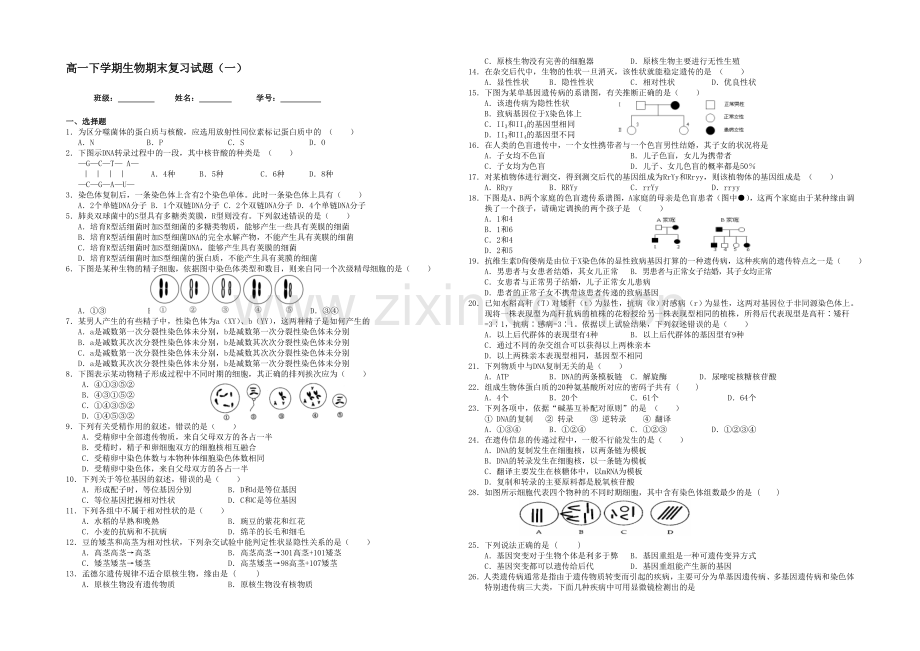 2013-2020学年高一生物(苏教版)下学期期末复习试题(一).docx_第1页