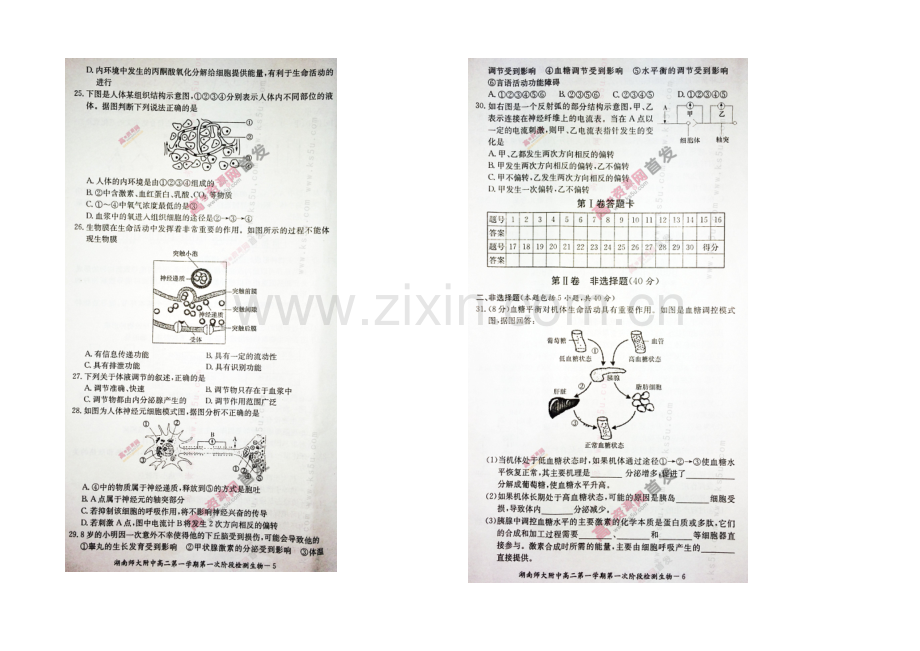 湖南师大附中2020-2021学年高二上学期第一次阶段性检测-生物-扫描版含答案.docx_第3页