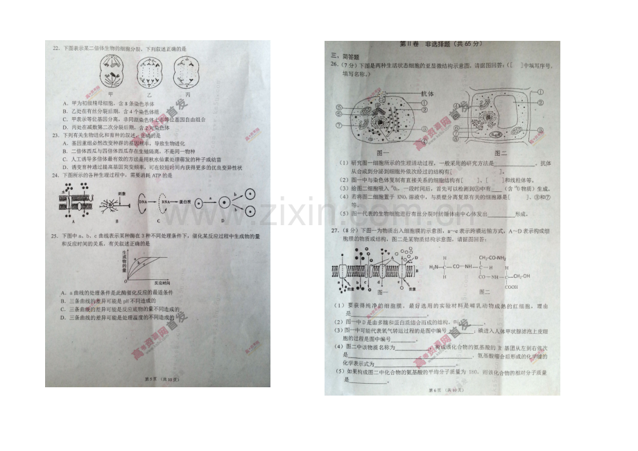 江苏省镇江中学2021届高三上学期第二次调研测试-生物-扫描版含答案.docx_第3页