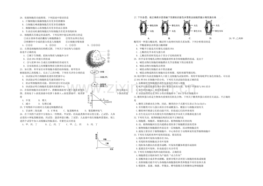 【全国百强校】吉林省延边二中2020-2021学年高一上学期期中考试生物试题(word版无答案).docx_第2页