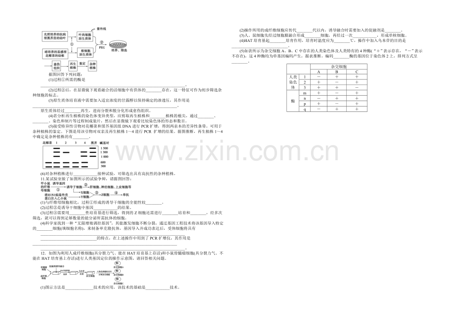 【优化方案】2020届高考生物二轮专题强化训练：专题九第1讲-基因工程和细胞工程-Word版含解析.docx_第2页