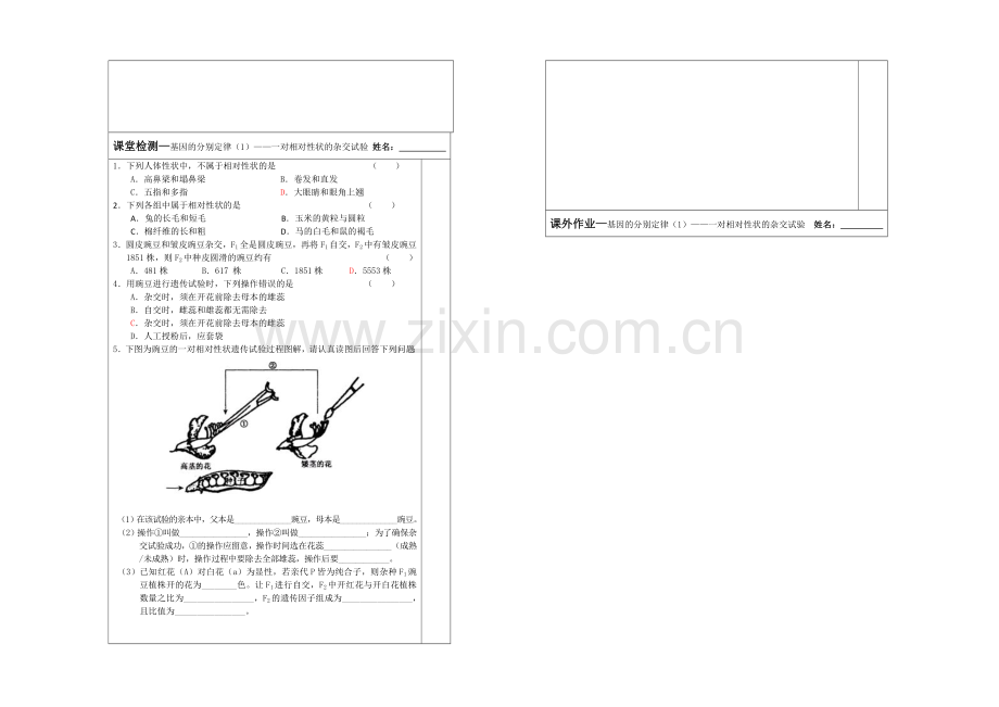 江苏省2013—2020学年生物(苏教版)必修二同步导学案：3.1基因的分离定律(1).docx_第2页