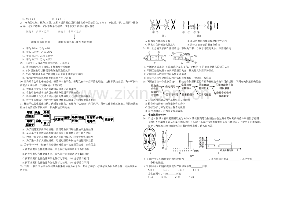 福建省漳州实验中学、龙海一中2021届高三上学期末考试生物试题-Word版含答案.docx_第3页