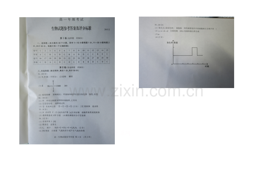 山东省泰安市2020-2021学年高一上学期期末统考生物试题扫描版含答案.docx_第1页