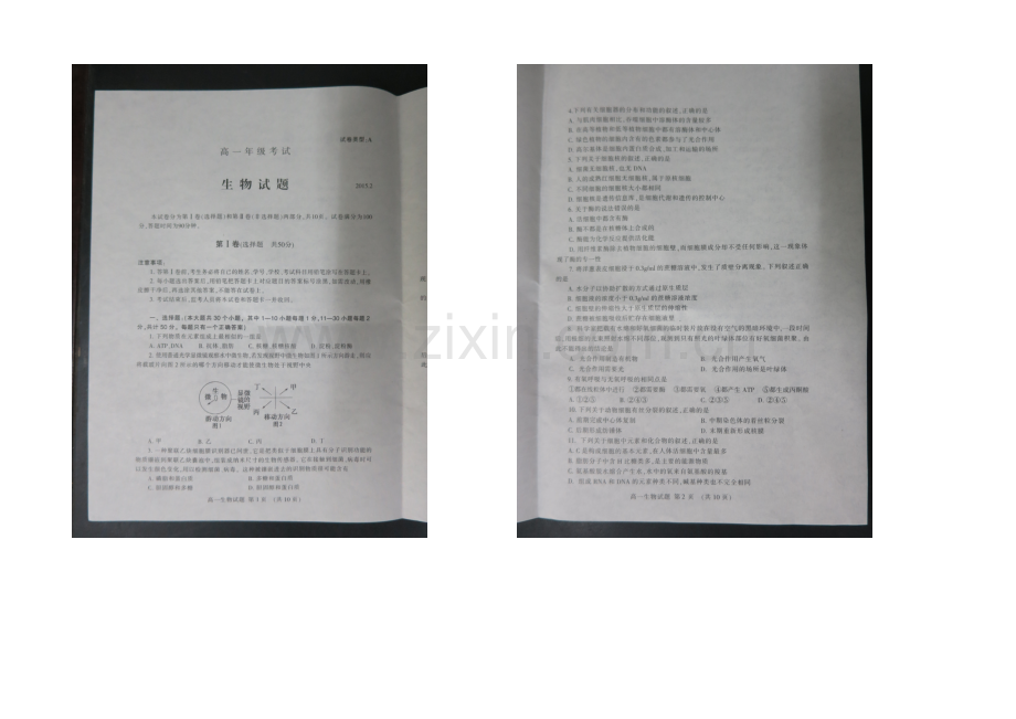 山东省泰安市2020-2021学年高一上学期期末统考生物试题扫描版含答案.docx_第2页