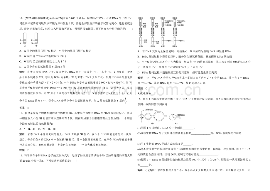 2022年高三生物(人教版)一轮复习-基础课时案19-DNA分子的复制-课后训练.docx_第3页