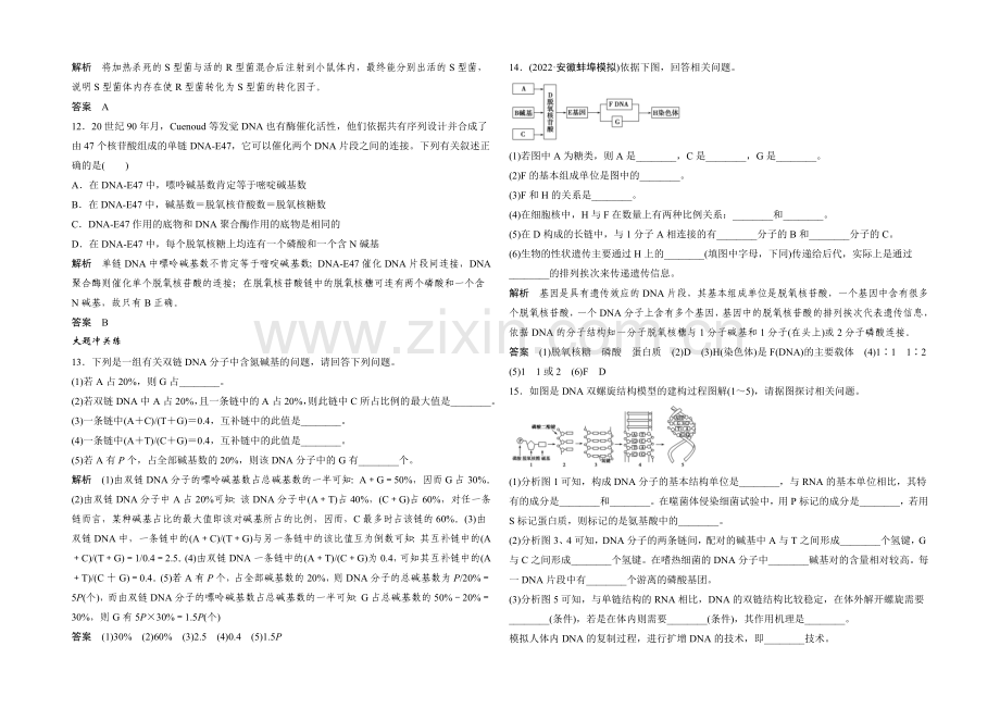 2022年高三生物(人教版)一轮复习-基础课时案18-DNA的结构及基因的本质-课后训练.docx_第3页