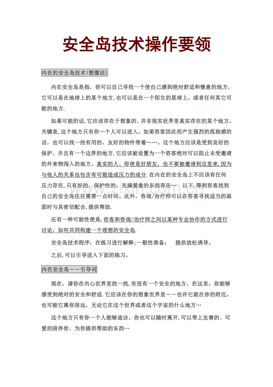 安全岛技术操作要领.doc_第1页