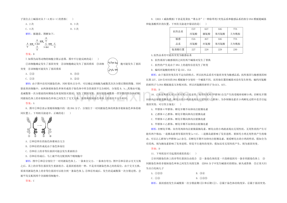 2021高考生物一轮巩固提升训练：必修2-5.1-基因突变和基因重组.docx_第2页