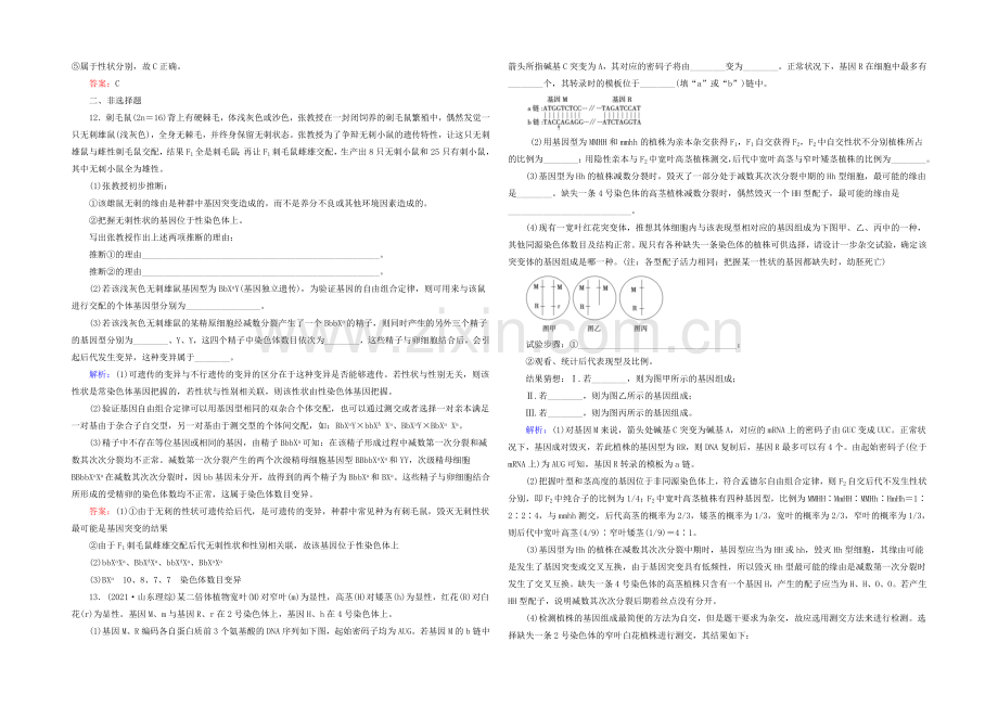 2021高考生物一轮巩固提升训练：必修2-5.1-基因突变和基因重组.docx_第3页