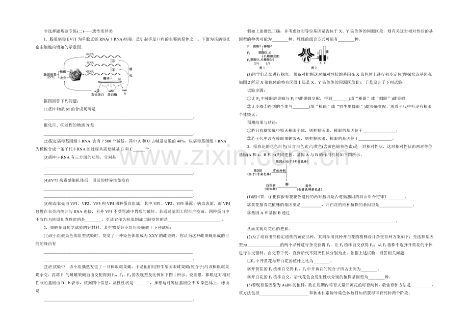 2021高考生物二轮复习练习：非选择题规范专练(二)——遗传变异类.docx_第1页