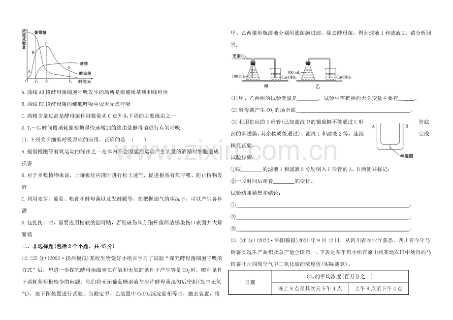 2021高考生物一轮课时作业10-必修1--5.3ATP的主要来源——细胞呼吸.docx_第3页