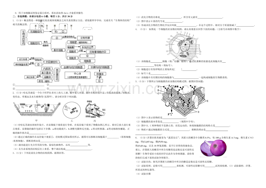 江苏省泰州市姜堰区2020-2021学年高一上学期中考试-生物-Word版含答案.docx_第3页