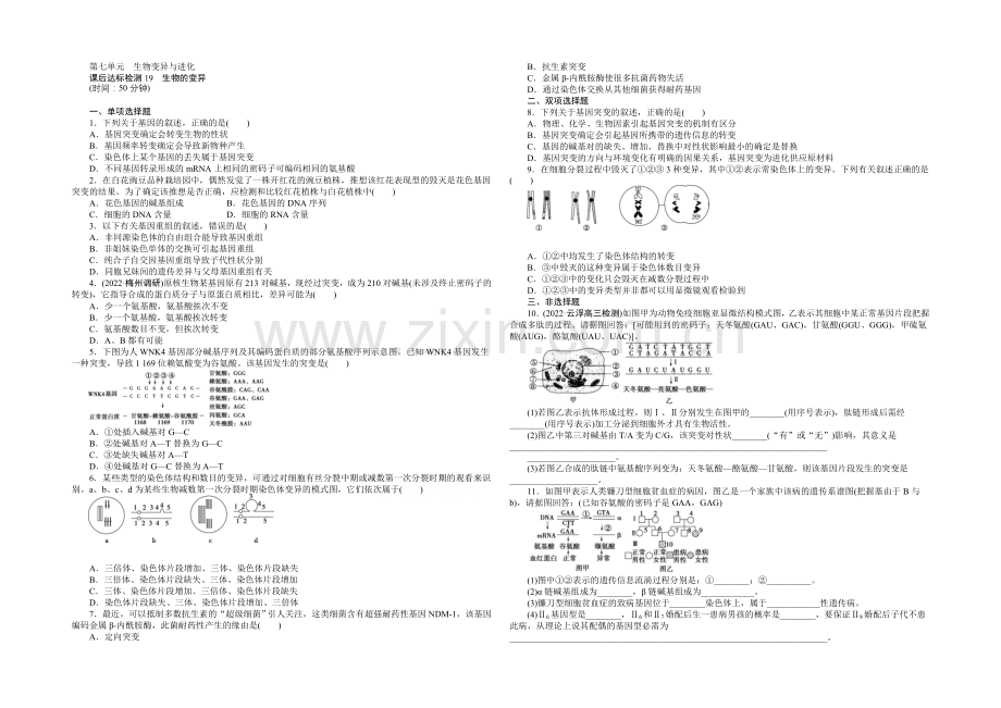 2021高考总复习优化方案生物-课时课后达标检测19生物的变异-Word版含解析.docx_第1页