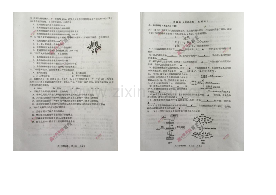 江苏省泰州市2020-2021学年高一下学期期末考试-生物-扫描版无答案.docx_第3页