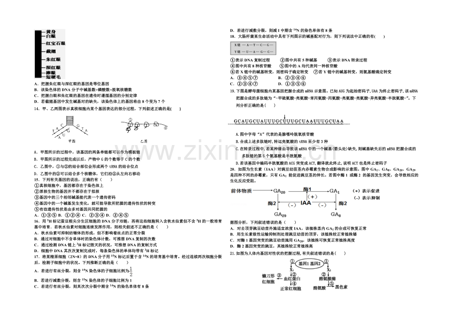 河北省衡水市冀州中学2022届高三上学期第三次月考生物试题A卷-Word版含答案.docx_第2页