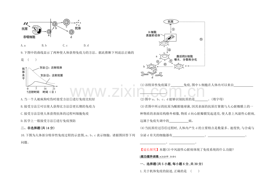 【2021】人教版高二生物必修三练习24免疫调节(学生版)-Word版缺答案.docx_第2页