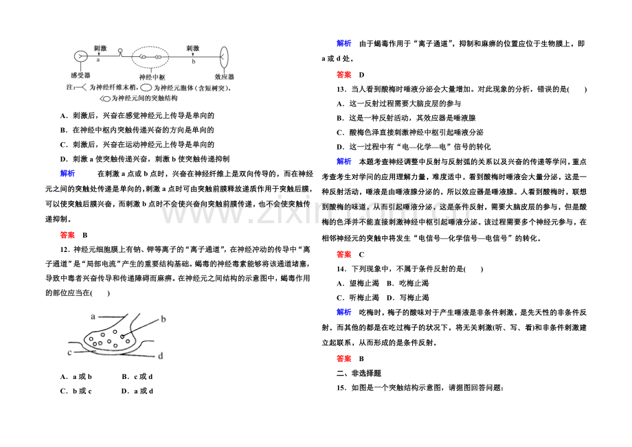 2020-2021学年高中生物(人教版)必修三双基限时练3-通过神经系统的调节.docx_第3页