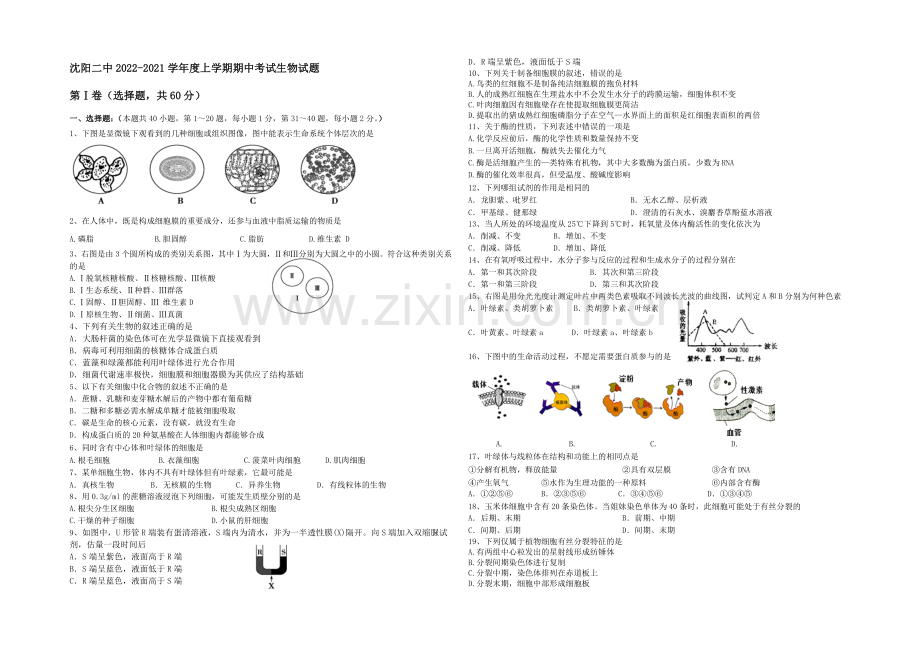 辽宁省沈阳二中2020-2021学年高二上学期期中考试生物试题-Word版含答案.docx_第1页