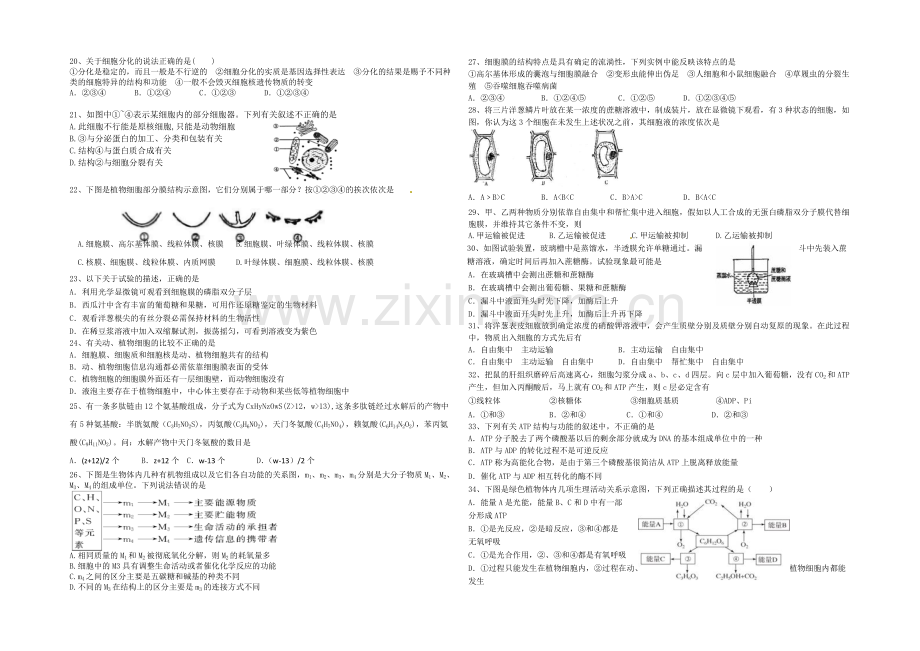 辽宁省沈阳二中2020-2021学年高二上学期期中考试生物试题-Word版含答案.docx_第2页