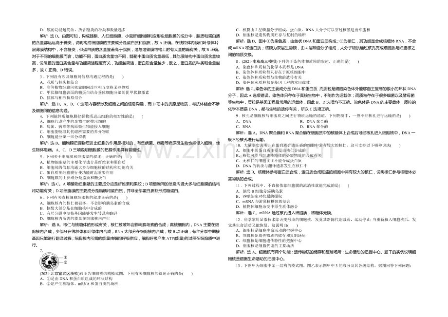 2021年高考生物(人教版)一轮复习强化练习：细胞膜——系统的边界-细胞核——系统的控制中心.docx_第2页