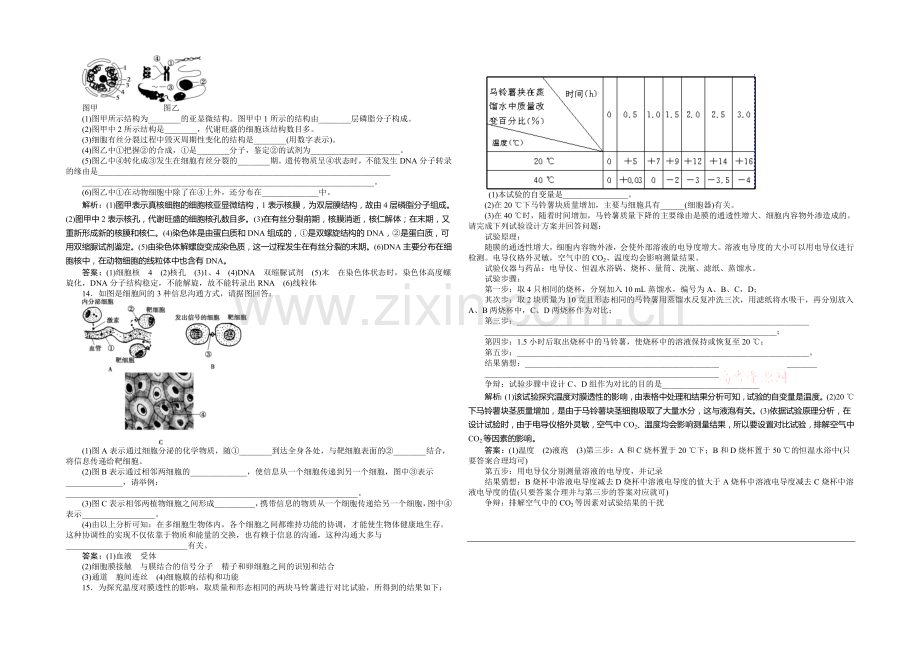 2021年高考生物(人教版)一轮复习强化练习：细胞膜——系统的边界-细胞核——系统的控制中心.docx_第3页