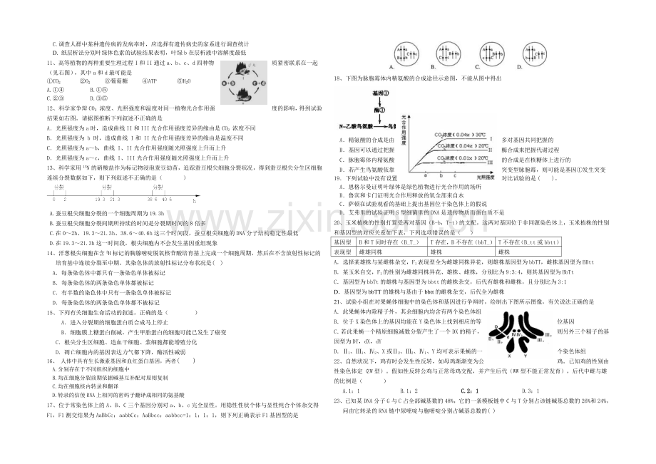 福建省龙海二中2020届高三上学期期末考试生物试卷-PDF版含答案.docx_第2页