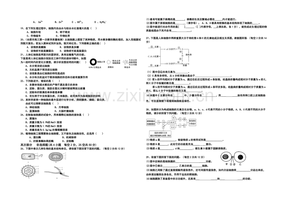 广东省惠阳高级中学2021-2022学年高一上学期期中考试生物试题-Word版含答案.docx_第2页