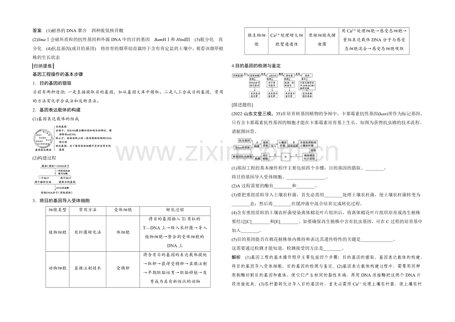 2022年高三生物(人教版)一轮复习-基础课时案43-基因工程原理及技术-考点探究.docx_第3页