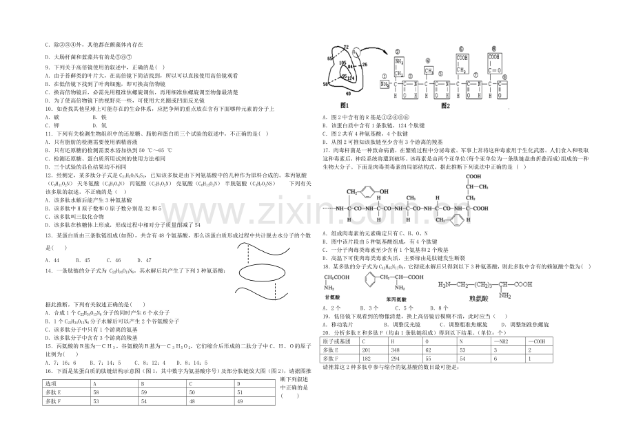 河南省洛阳八中2021-2022学年高一上学期10月月考试题-生物-Word版含答案.docx_第2页