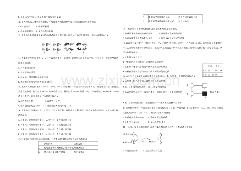 陕西省西安市第一中学2022届高三上学期11月月考生物试题-Word版含答案.docx_第2页