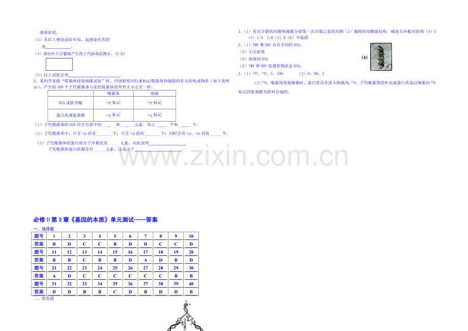 2013-2020学年高一下学期生物必修2-单元测试《第三章-基因的本质》A.docx_第3页