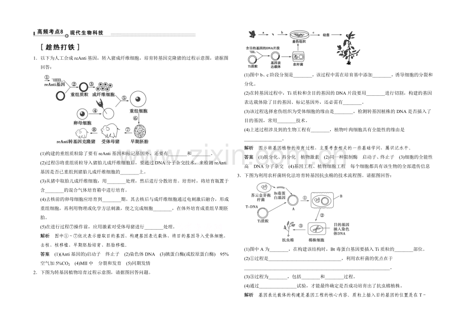 2021高考生物(山东专用)三轮通关2-高频考点8.docx_第1页