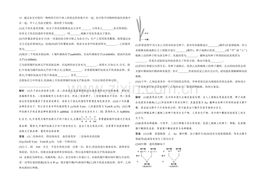 2022年高三生物(人教版)一轮复习-基础课时案23-从杂交育种到基因工程-课后训练.docx_第3页