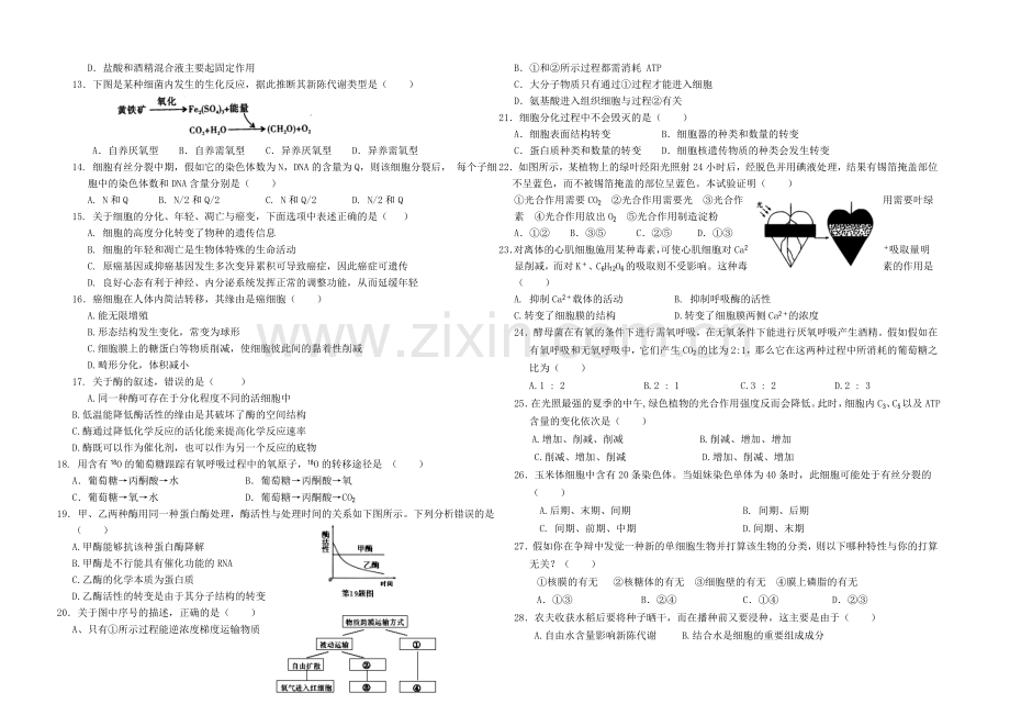 陕西省西安市第一中学2020-2021学年高一上学期期末考试生物试题Word版含答案.docx_第2页