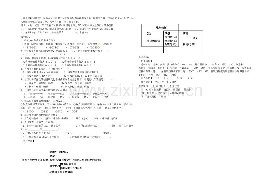 【2020秋备课】高中生物学案新人教版必修1-2.3-遗传信息的携带者-核酸.docx_第2页
