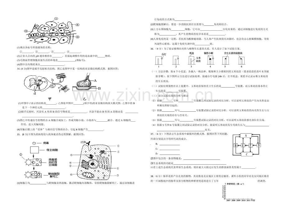 江苏省宿迁市汇文中学2020-2021学高二上学期期中考试-生物-Word版含答案.docx_第3页