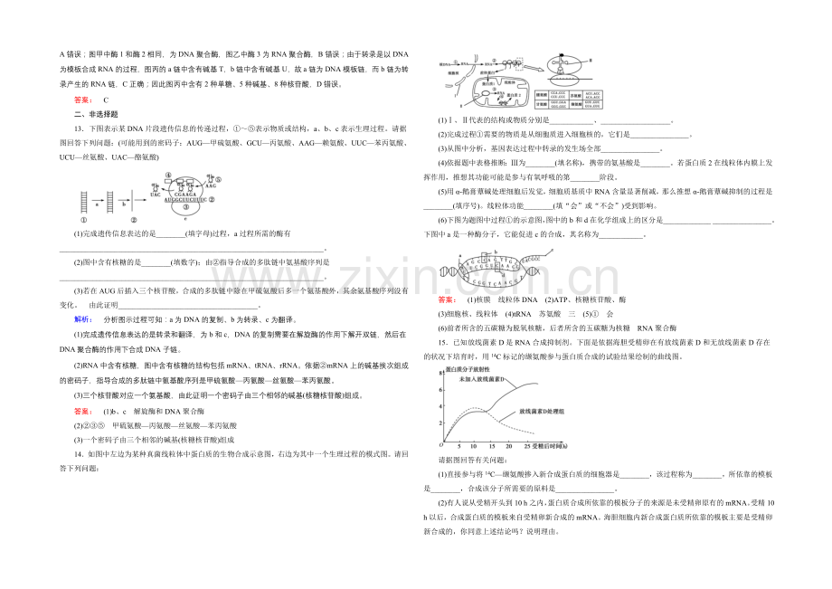 《金版新学案》高中生物(必修二)新课标同步练习-课时作业10.docx_第3页