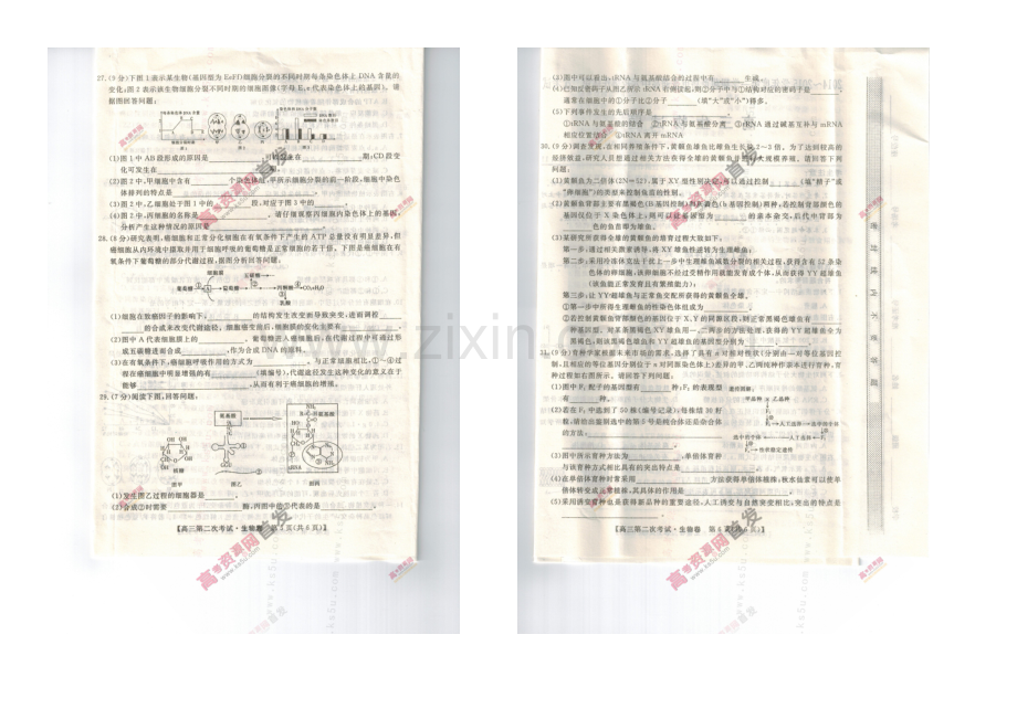 辽宁省葫芦岛市六校协作体2021届高三上学期第二次考试-生物-扫描版含答案.docx_第3页