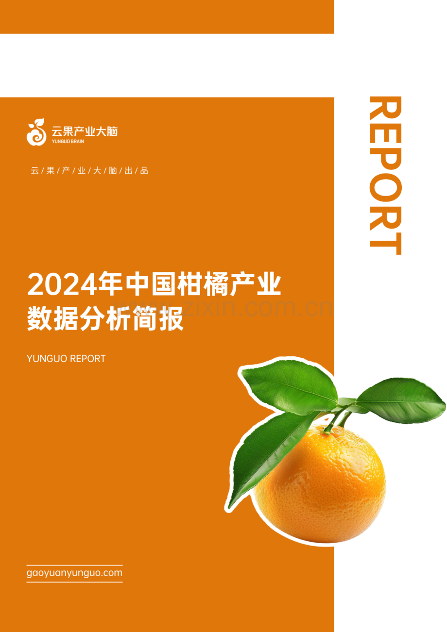 2024年中国柑橘产业数据分析简报.pdf_第1页