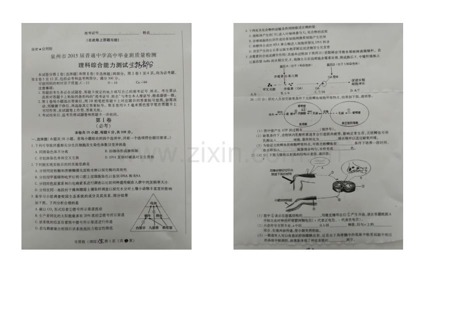 福建省泉州市2021届高三5月质量检测理科综合生物试题-扫描版含答案.docx_第1页