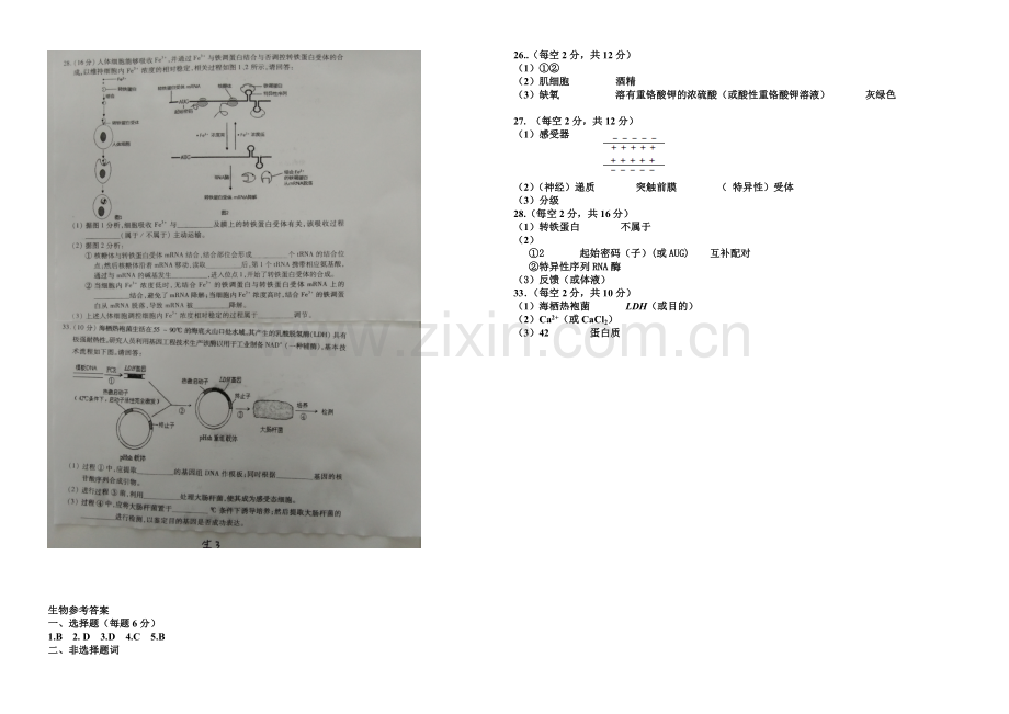 福建省泉州市2021届高三5月质量检测理科综合生物试题-扫描版含答案.docx_第2页