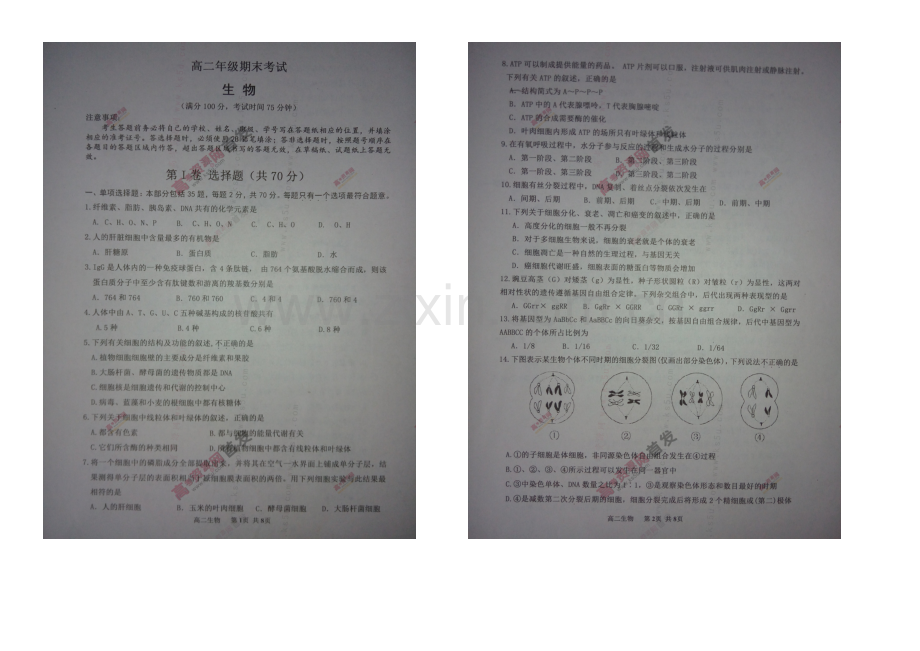 江苏省宿迁市2020-2021学年高二上学期期末考试-生物-扫描版含答案.docx_第1页