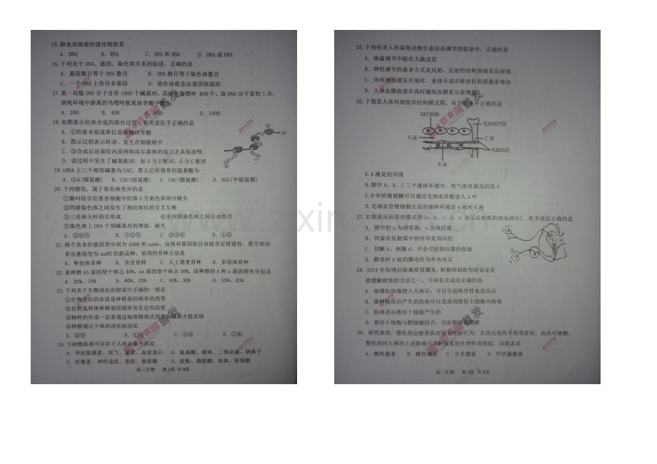 江苏省宿迁市2020-2021学年高二上学期期末考试-生物-扫描版含答案.docx_第2页