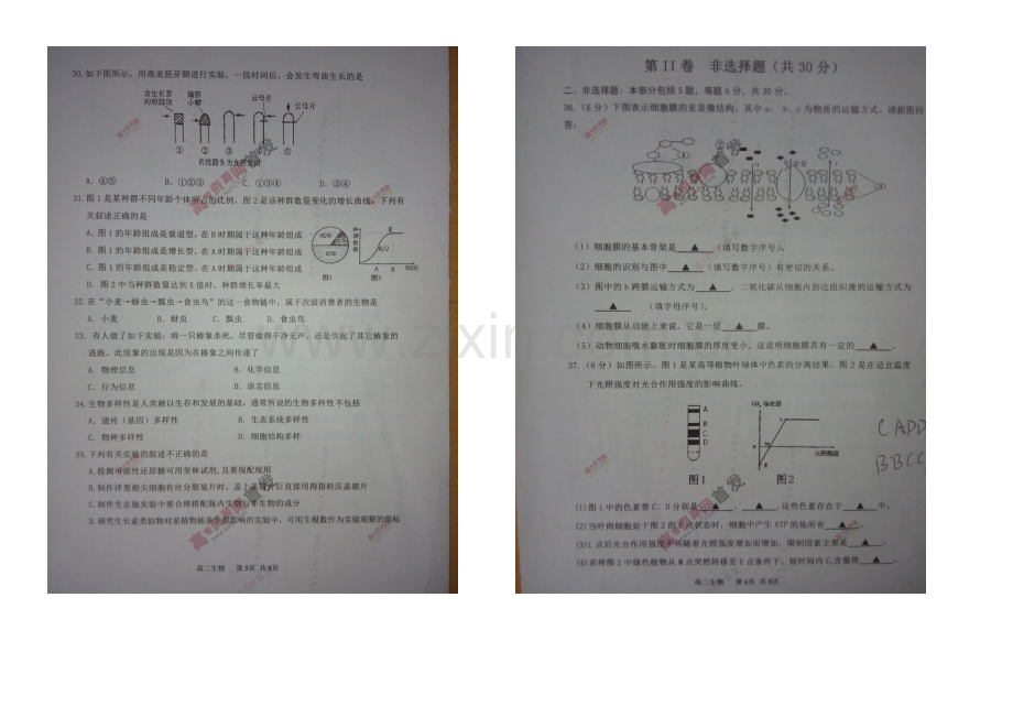 江苏省宿迁市2020-2021学年高二上学期期末考试-生物-扫描版含答案.docx_第3页