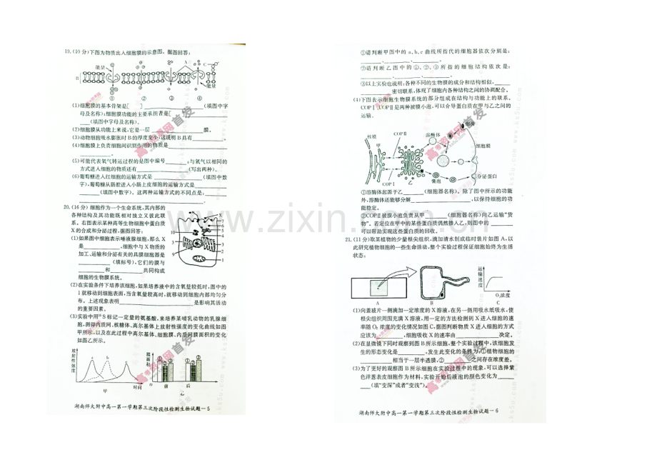 湖南师大附中2020-2021学年高一上学期第三次阶段性检测-生物-扫描版含答案.docx_第3页