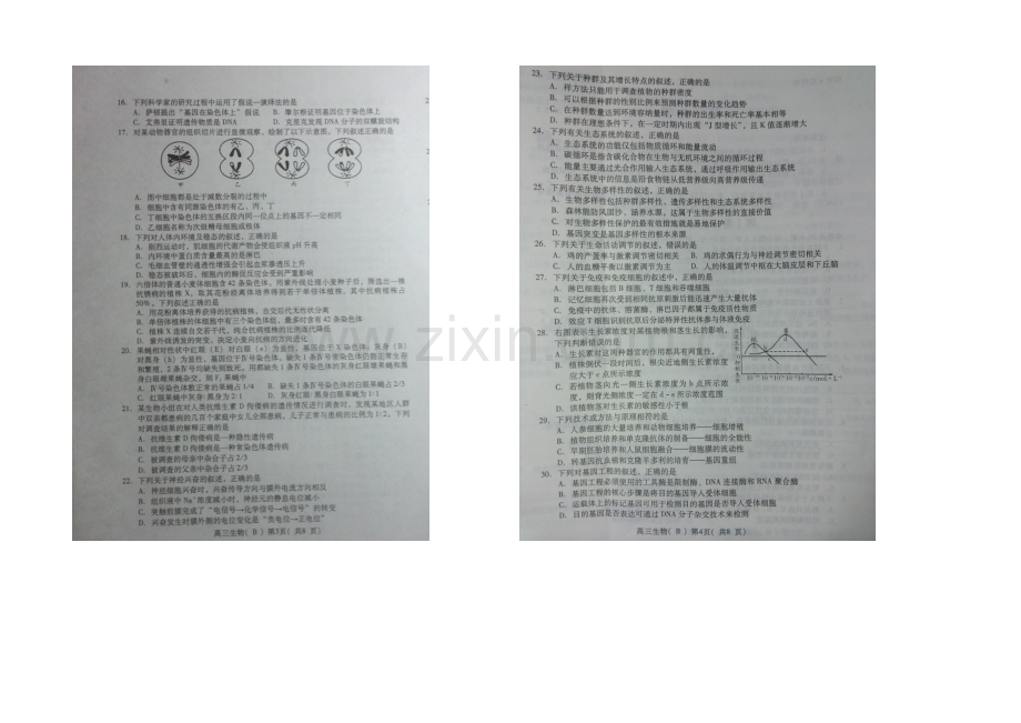 山东省潍坊市2021届高三上学期期末统考生物试题扫描版含答案.docx_第2页