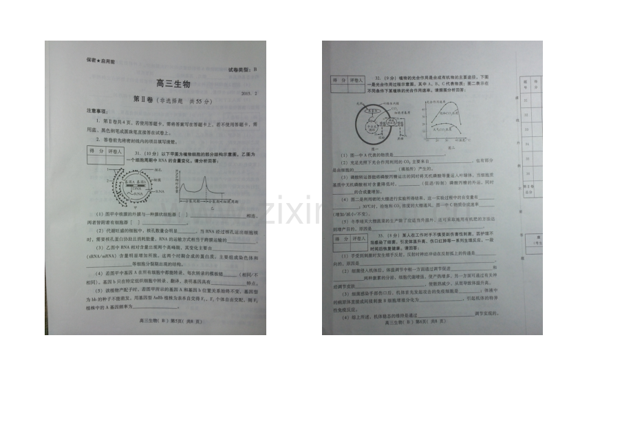 山东省潍坊市2021届高三上学期期末统考生物试题扫描版含答案.docx_第3页