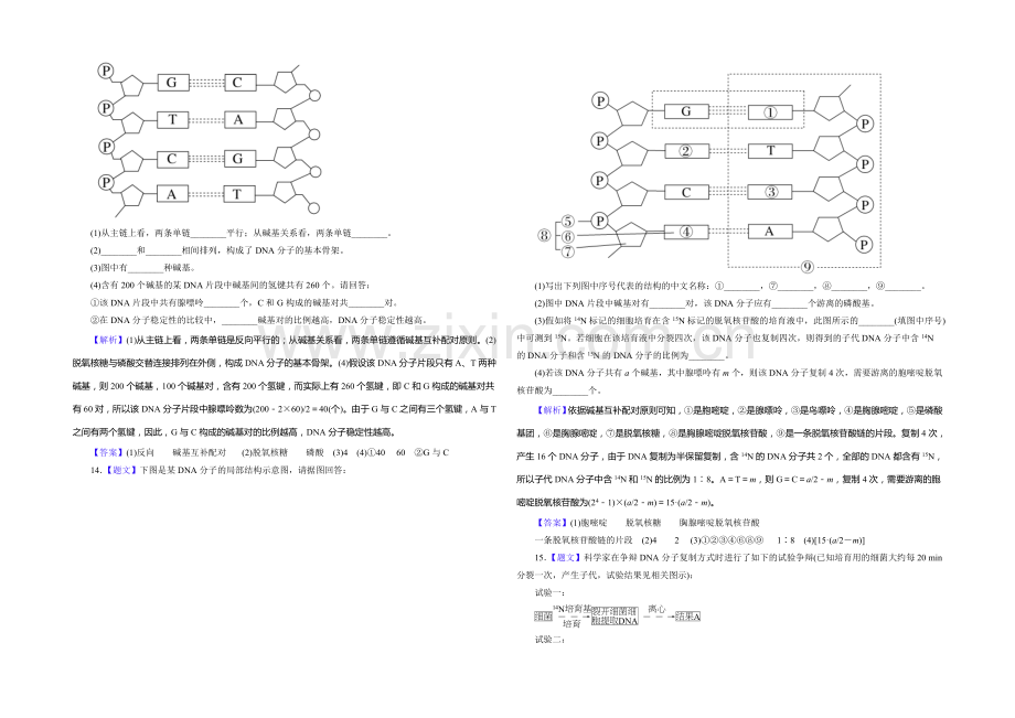 2021高考生物限时规范特训：第19讲-DNA分子的结构、复制及基因.docx_第3页